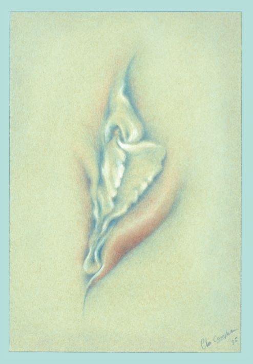 Yoni Portrait: Flower of Passion