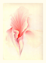 Christina Camphausen: Moonflower