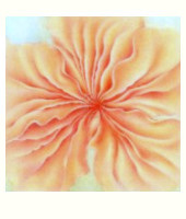 Christina Camphausen: Pure Soft Petals