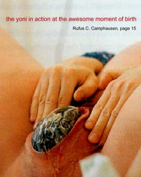 image of The Awesome Moment of Birth